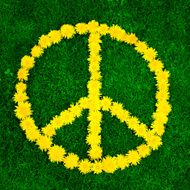 Peace Sign N30