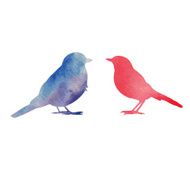 Birds N65