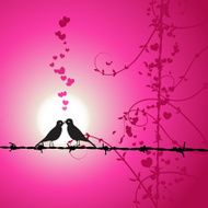 Love birds kissing on branch N4