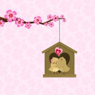 Birds in love N49