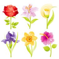 Flowers icon set N2