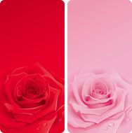 Vertical banners with roses