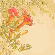 Vector textured background with tecoma flowers