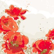 Background with 5 flower of poppy
