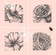 set of decorative floral backgrounds hand-drawing Vector illustration