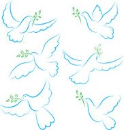 Dove with branch