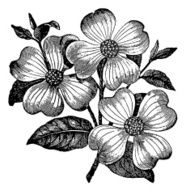 Vintage Clip Art and Illustrations N12