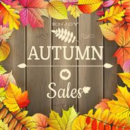 Autumn sale typography poster EPS 10
