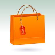 Shopping bag with tag (clipping path)