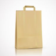 blank kraft shopping bag