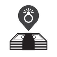 money and ring icon N2