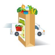 Fresh Food Delivery Concept With grocery Bag N2