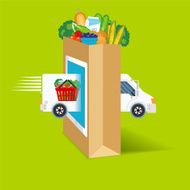 Fresh Food Delivery Concept With grocery Bag N3