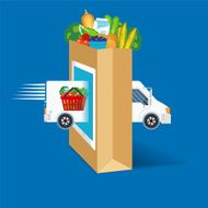 Fresh Food Delivery Concept With grocery Bag N4