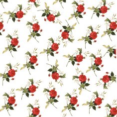High Resolution Wallpaper with Roses N2