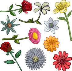 Colorful Flowers N17
