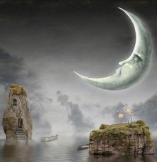 Moon is in sky