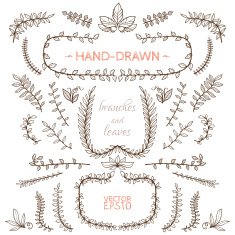 Set of nature elements Hand-drawn branches and leaves N2