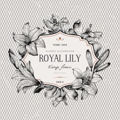 Vintage vector background N12