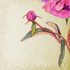 Peony flower N17