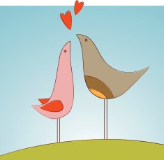 Love Birds N116
