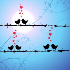 Love birds kissing on branch N3