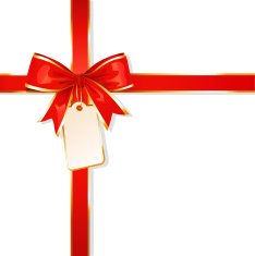 ribbon red bow with card vector illustration