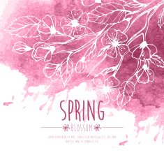 Blossoming Spring Branch Vector illustration N13
