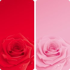 Vertical banners with roses