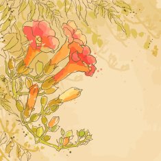Vector textured background with tecoma flowers