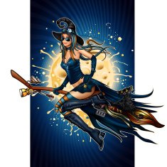 Halloween Witch on a Broomstick