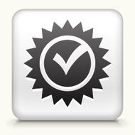 White Square Button with Check Mark Icon N2