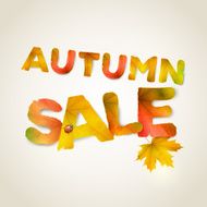 Vector Autumn sale vector background N2