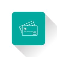 Credit Card Icon N11