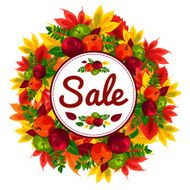 Autumn discount banner with beautiful fall leaves apples sale N2