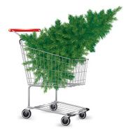 Shopping cart with Christmas tree