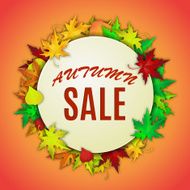 Autumn Sale N26