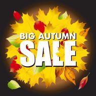 Seasonal big autumn sale business background with colored leafs in N2