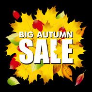 Seasonal big autumn sale business background with colored leafs vector N2