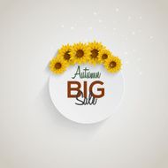 Fall sale design N3