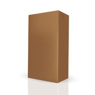 Brown carton box for liquid like juice milk N2