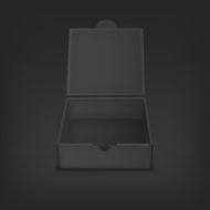Vector mock up illustration for presentation packaging design N2