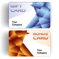 Plastic Gift and Bonus Cards N2