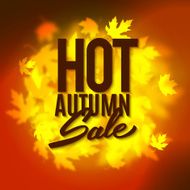 Hot autumn sale advertisement banner poster retail discount vector illustration N2