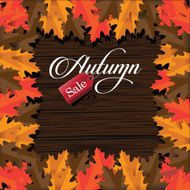 Autumn sale leaves and wood background