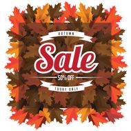 Autumn sale leaves background