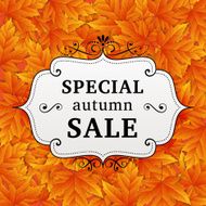 Seasonal special autumn sales business background
