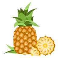 Pineapple N12