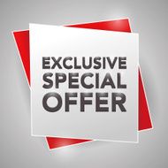 EXCLUSIVE SPECIAL OFFER poster design element N2