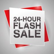 24 HOUR FLASH SALE poster design element N2